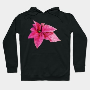 One Pink Poinsettia Hoodie